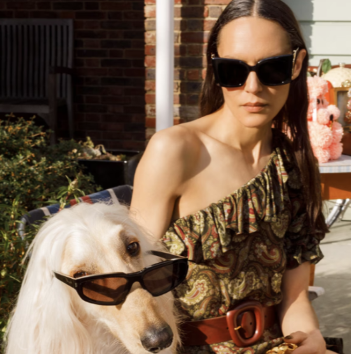 Saint Laurent brillencollectie bij Oogwereld