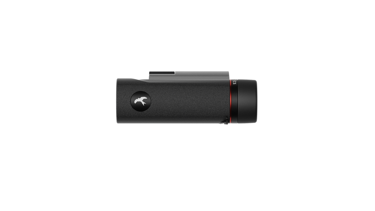Falco 10x25