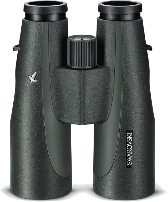 SLC 8x56 W B
