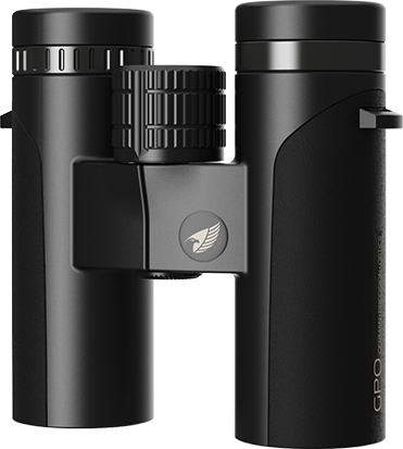 PASSION 8x32ED